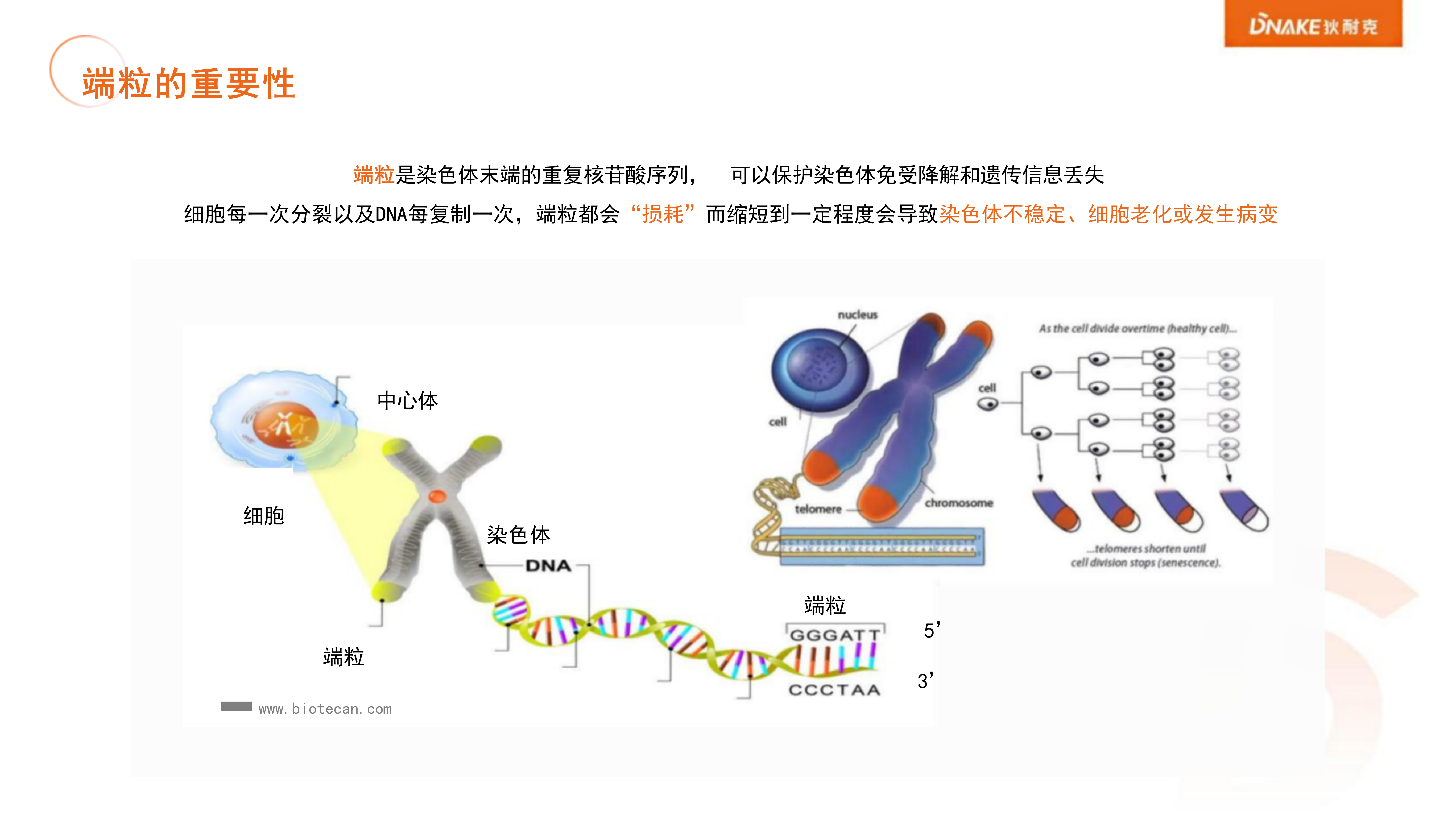 狄耐克微壓富氧艙介紹(1)_04.png